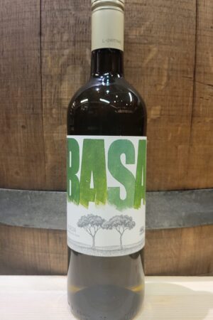 TELMO RODRIGUEZ BASA RUEDA