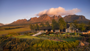 Ernie Els Wines – Sit Down Tasting