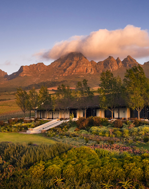 Ernie Els Wines || Tasting with Logan van Driel
